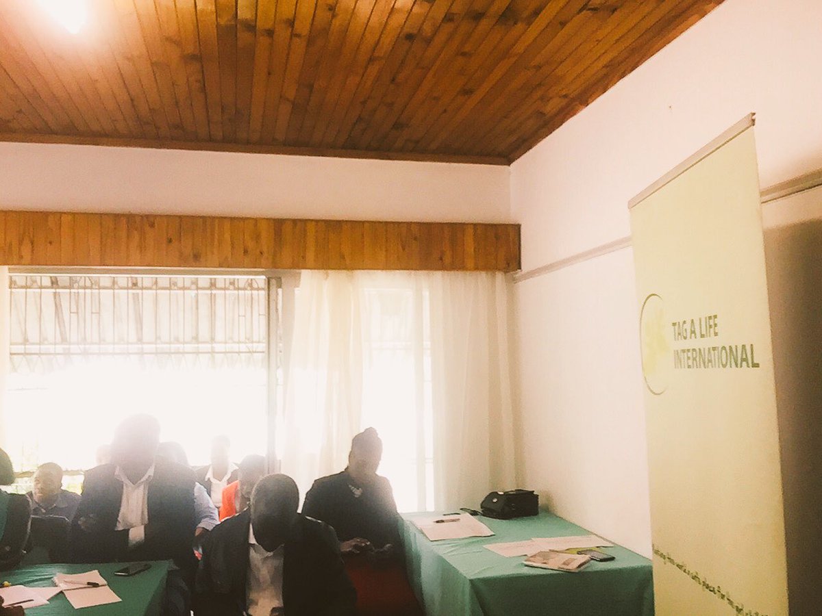 Some of the CSO members who came to the #ECIS #Everychildinschool  Matabeleland meeting. <a href="/hivosrosa/">Hivos Southern Africa</a> <a href="/UNICEFZIMBABWE/">UNICEF ZIMBABWE</a> <a href="/OpenParlyZw/">Open Parly ZW</a> <a href="/mamburetrust/">Mambure Trust</a> <a href="/ecozim/">ECOZI</a> <a href="/dewamavhinga/">Dewa Mavhinga</a> <a href="/ZNCWC/">#ZNCWC</a> <a href="/GirlsNotBrides/">Girls Not Brides</a> @jctzim <a href="/GwenTrust/">GWEN ORG</a> <a href="/ShingiMunyeza/">Shingi Munyeza</a> <a href="/childlinezim/">Childline Zimbabwe</a> <a href="/WCOZIMBABWE/">Women's Coalition of Zimbabwe</a> <a href="/nango_eastern/">NANGO EASTERN</a> <a href="/nangozim/">Nangozi Milly</a>
