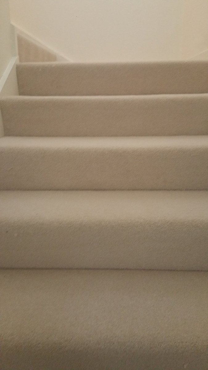 Peter Kearney Carpets & Flooring tweet media
