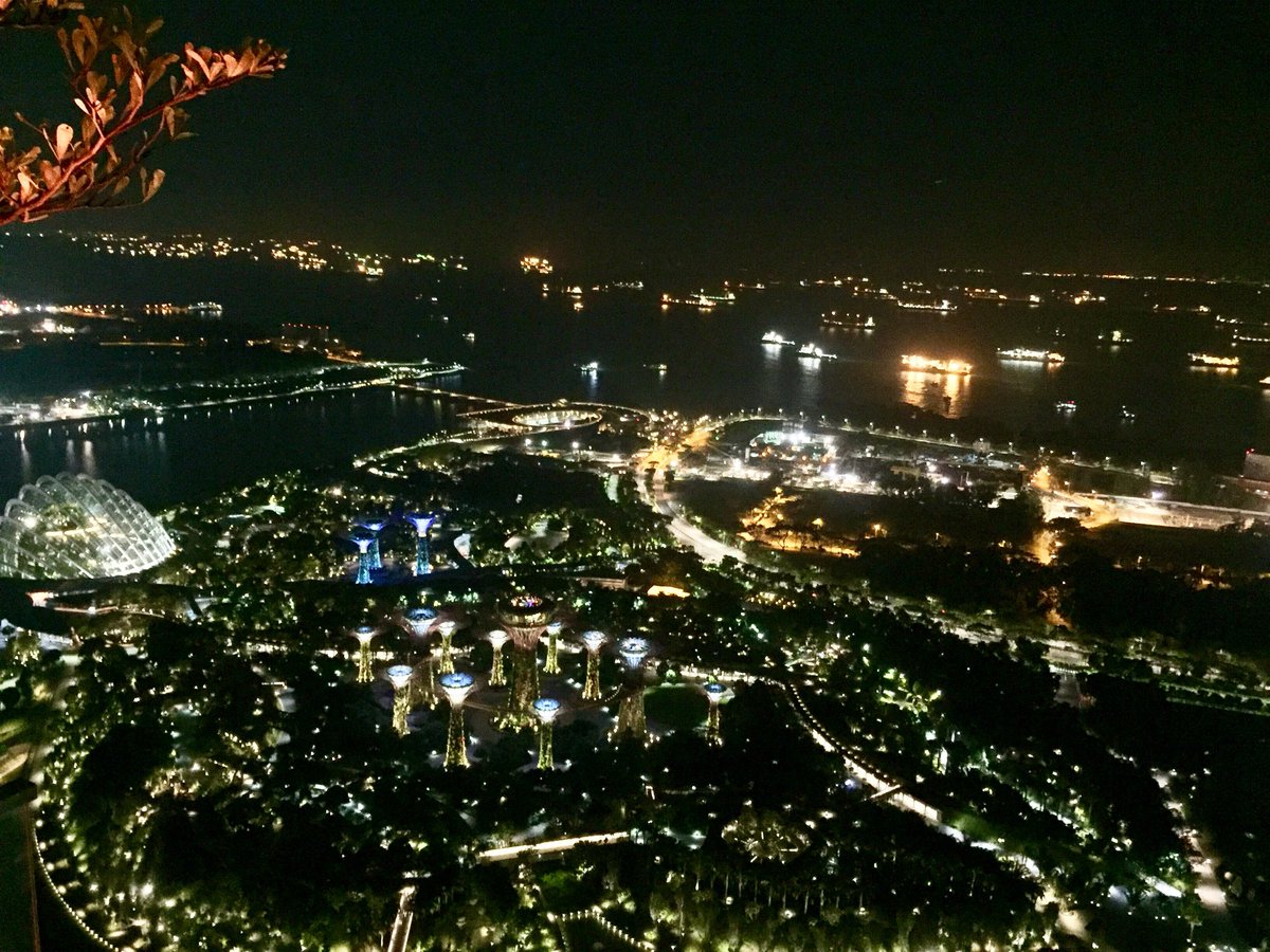 A view like that. 
#MarinaBaySands #lavo #rooftopbar #nightlife #singapore #sgfood #sgnightlife #omg #night #starrystarrynight