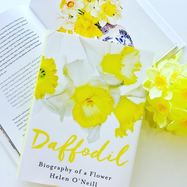 Currently the snow is covering all the budding Daffodils but luckily we've got this BEAUTIFUL book 🌾<a href="/helenoneill/">Helen O'Neill</a> #StDavidsDay