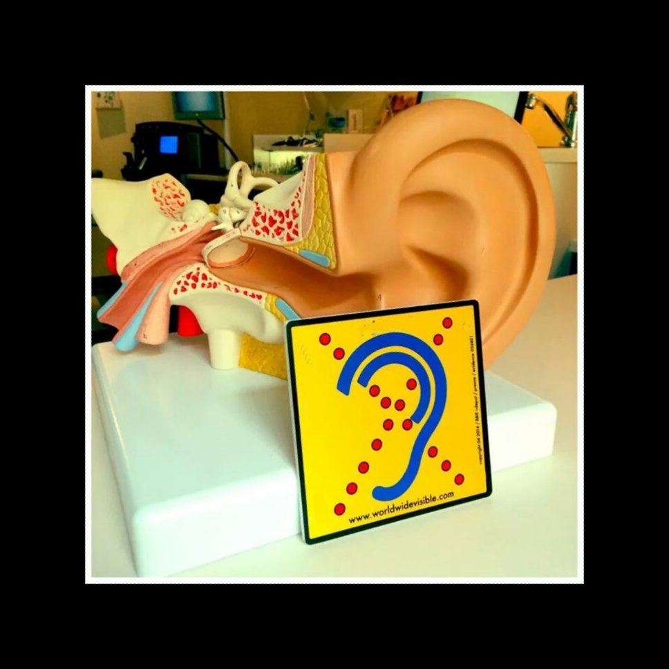 #complimentendag alle goedhorende medemensen die zich openstellen voor mensen met een gehoorbeperking. Denk aan duidelijke communicatie in woord en gebaar, ondertiteling op TV én in film, video's en zeker ook in het verkeer! Bedankt!