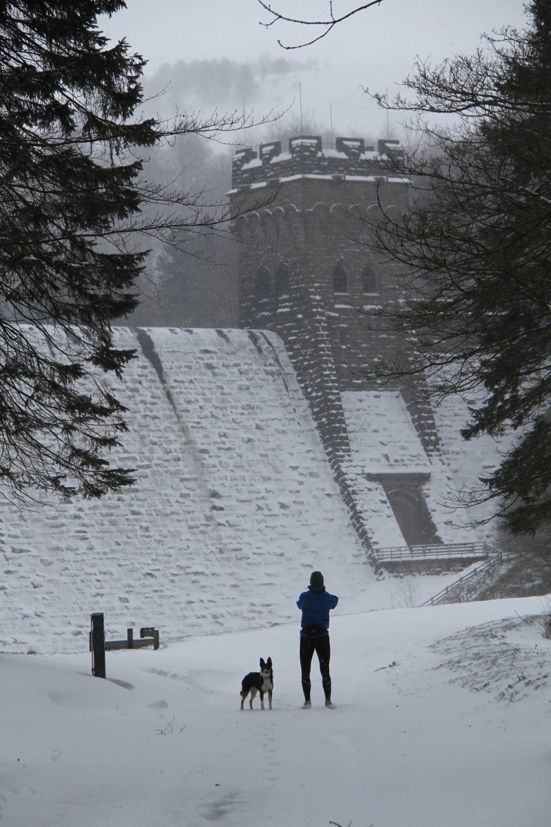 Mad dogs and Englishmen. The only other person spotted today at Derwent. #Derwentdam #hardcorerunner #peakdistrict