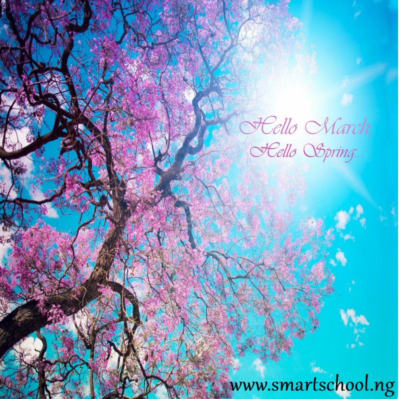 SmartSchool_ng's tweet photo. Happy new month Fam!
Let us all keep MARCHing forward and hope for the best... #smartschool #smarteducation https://t.co/1EUVehHl8P