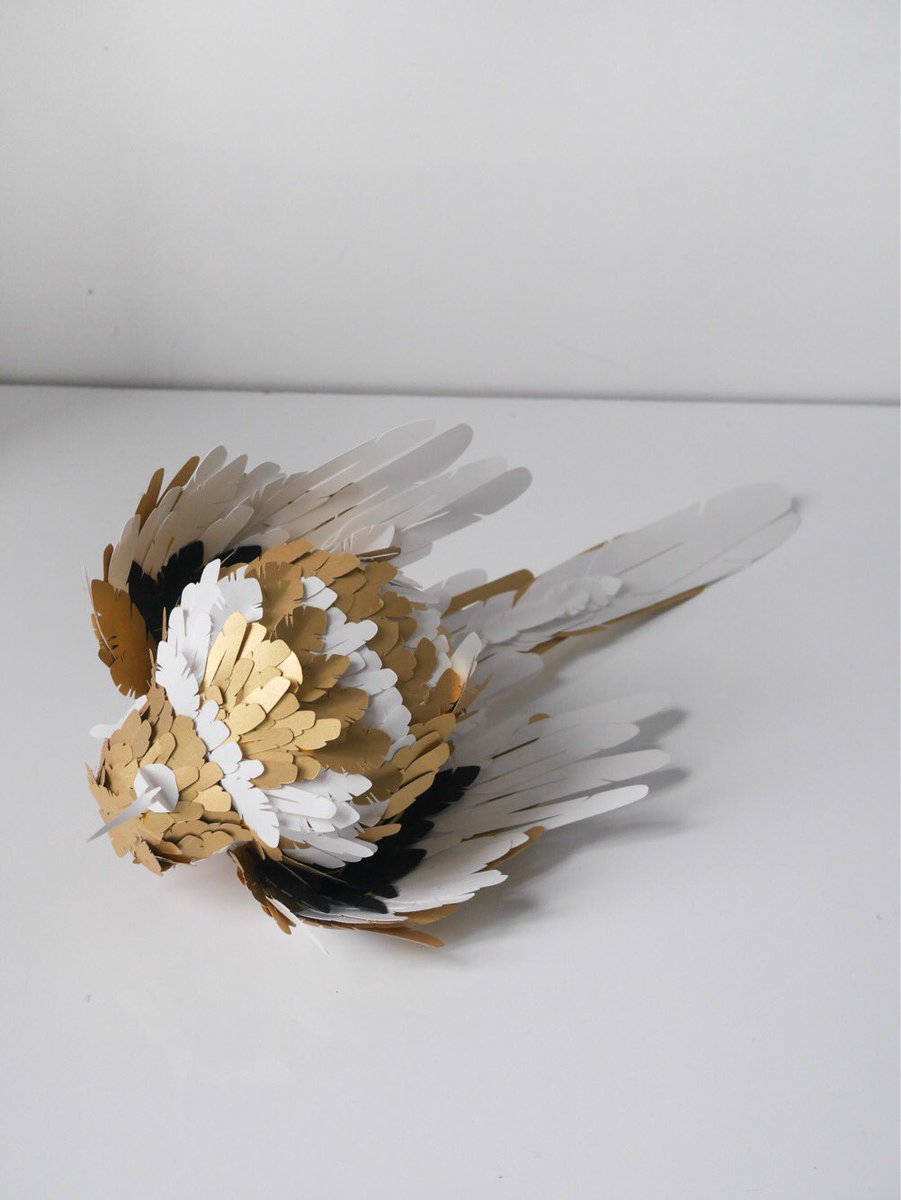 lapartybox's tweet image. Une centaine de plumes plus tard ...