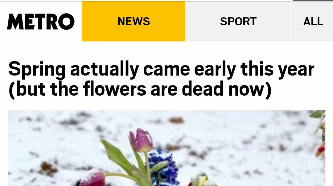 I hadn't heard this Smiths song before