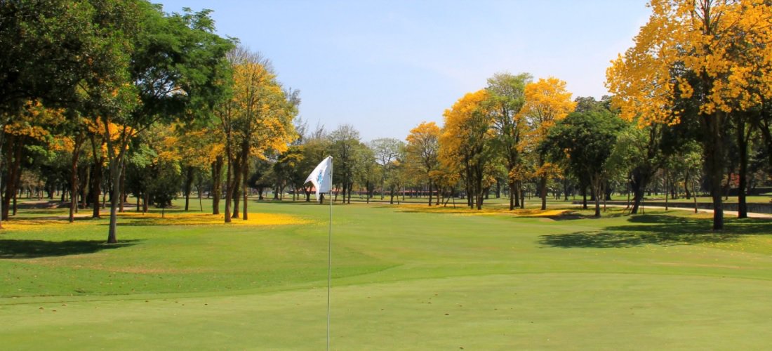 golfindustria tweet media