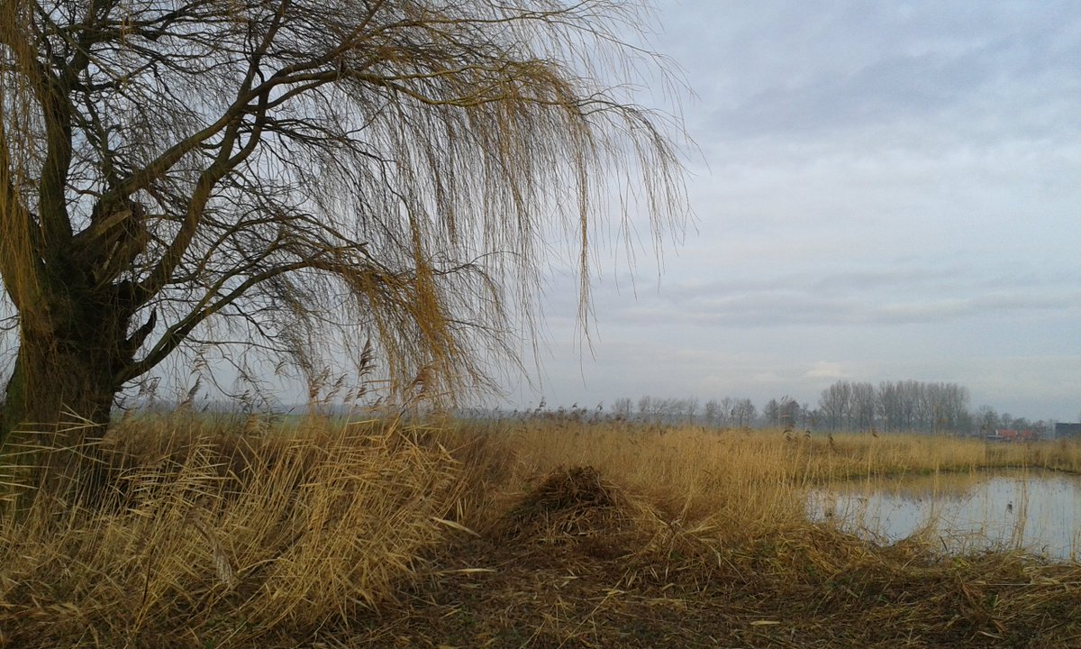 SLGelderland's tweet photo. Brochures, zagen, handschoenen en helmen voor 200 landschapsvrijwilligers. Druk met voorbereidingen #GelderseWerkdag as zaterdag. Mooi programma door @IVNNijkerk werkgroep landschapsbeheer. Wethouder Wim van Veelen opent. Aan de slag in het mooie landschap van @gemeenteNijkerk https://t.co/c0OG8MFu0y