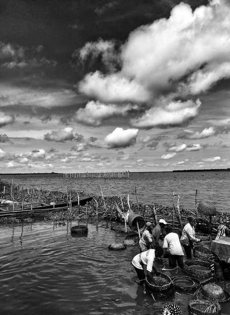 simisola b. ™️🌍 tweet media