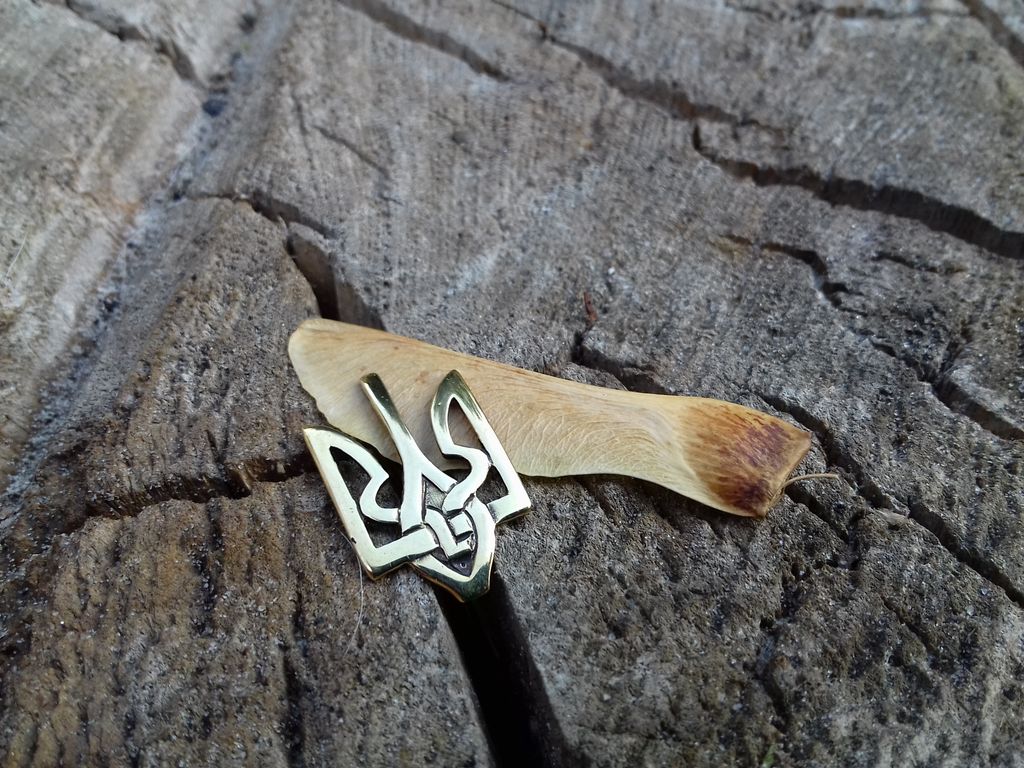 ArtefaktumUA's tweet photo. Pin Tryzub, Ukraine Symbol Trident, Ukraine jewelry, Ukrainian Trident, Ukrainian tryzub, Ukrainian brooch
#artefaktum_ua #trident #ukraine #pendantjewelry #pendant #nekclace #giftideas #giftjewelry #gift #etsy #etsypendant #etsyjewelry #jewellery #tryzub #symbol #ukrainian https://t.co/dmAOQfFqmn