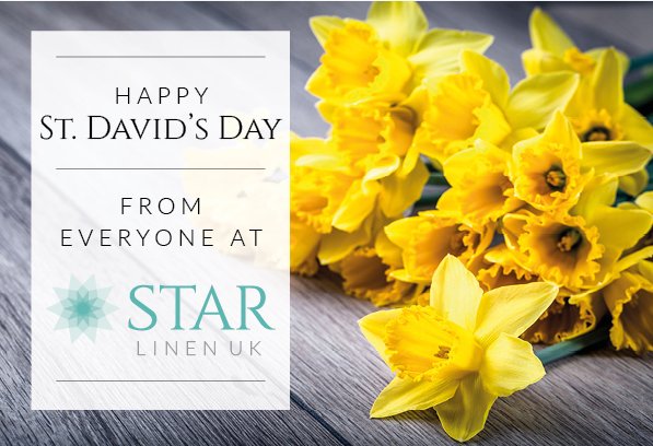 StarLinenUK's tweet photo. Happy St David's Day from all at Star Linen UK https://t.co/jGA8DKN0mg