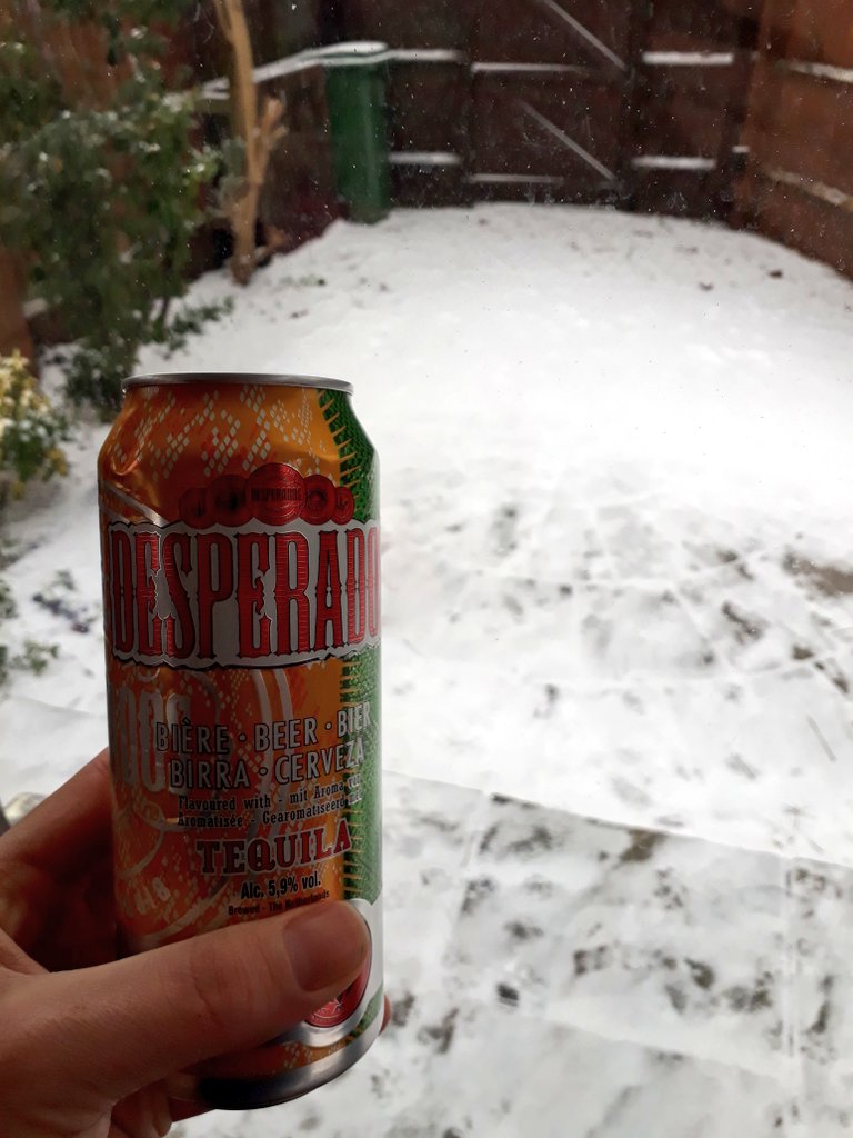 Raving Wild tweet media