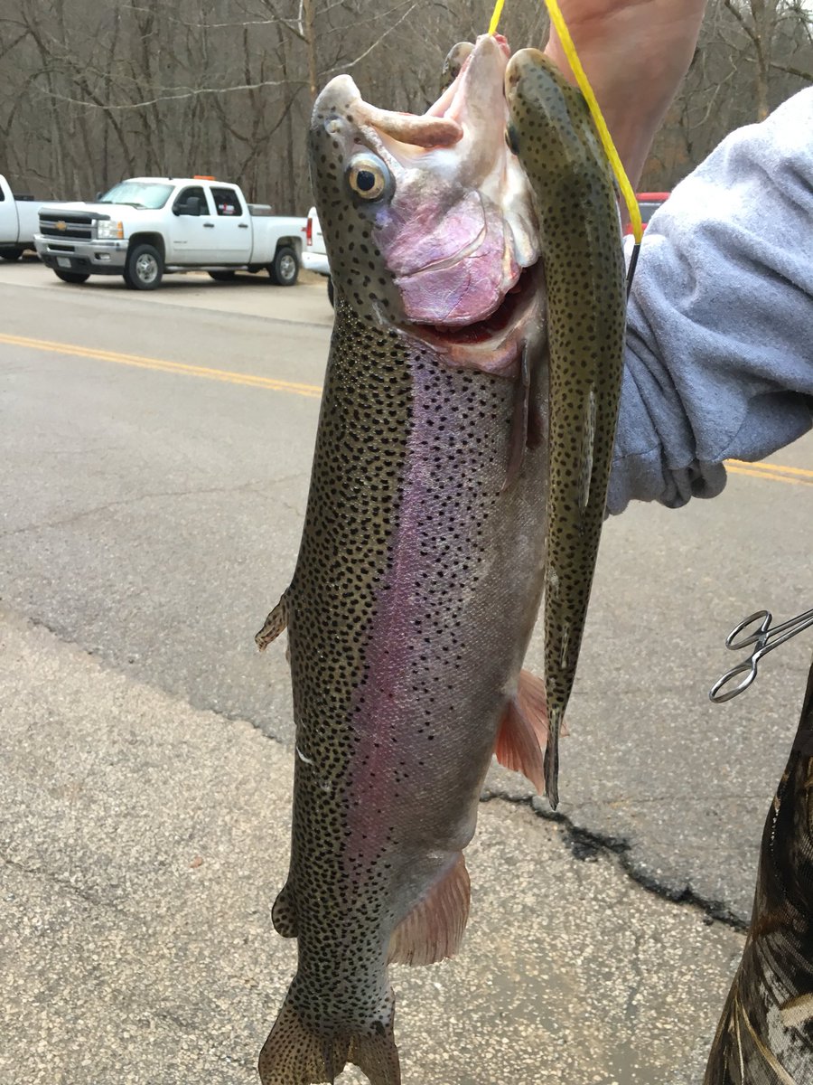 MO Conservation tweet media