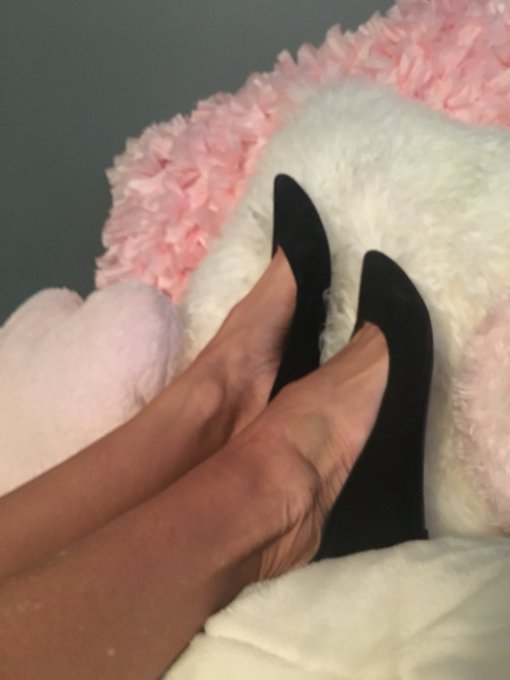 Where are my #footfetish #stinkyshoes #sexyfeet #footworshippers #buymyshoes #lovegodess #squeelforme<a href="/tag/footfetish"class="tags">#footfetish</a><a href="/tag/stinkyshoes"class="tags">#stinkyshoes</a><a href="/tag/sexyfeet"class="tags">#sexyfeet</a><a href="/tag/paypiggies"class="tags"><span>#paypiggies</span></a><a href="/tag/buymyshoes"class="tags"><span>#buymyshoes</span></a><a href="/tag/footworshippers"class="tags"><span>#footworshippers</span></a><a href="/tag/lovegodess"class="tags"><span>#lovegodess</span></a>