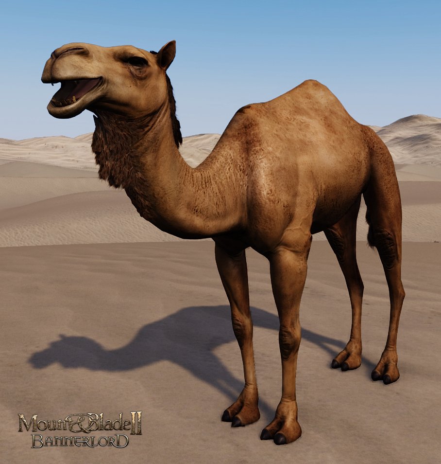 Dogmazare On Twitter Bannerlord Is Never Coming Out Let S Face