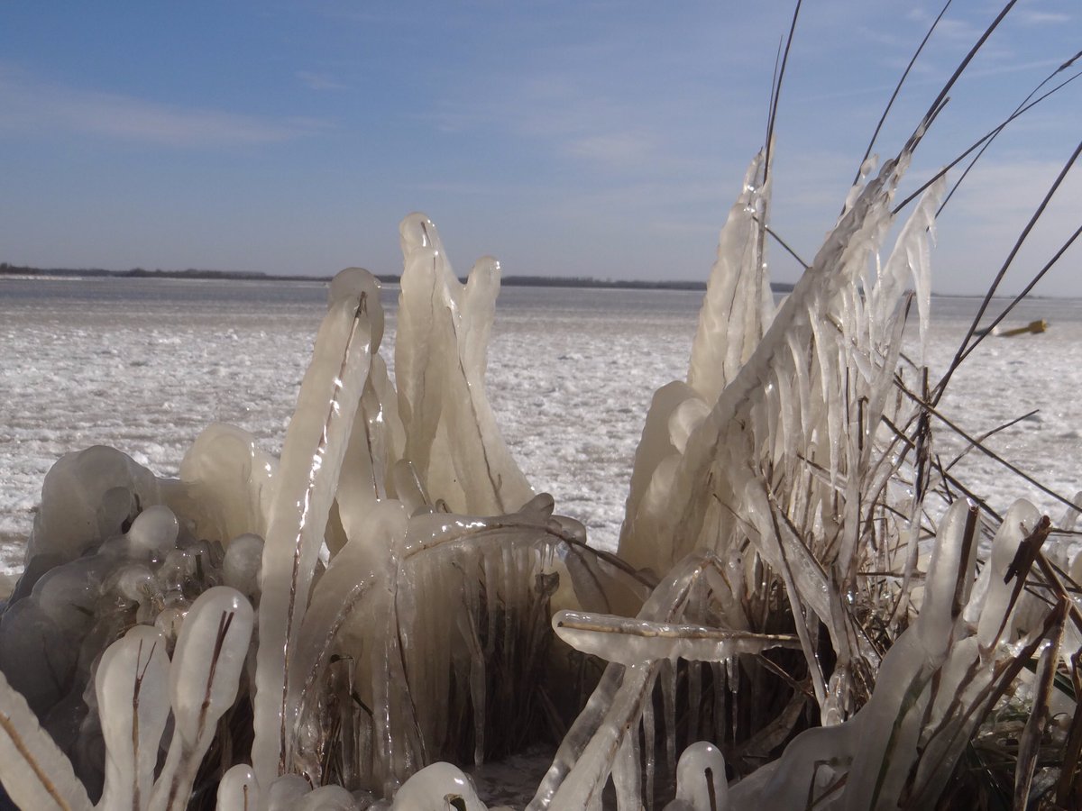 aliemeul's tweet photo. #Lauwersmeer #ijskoud ❄️❄️#koudewind https://t.co/7euUJcpeg7