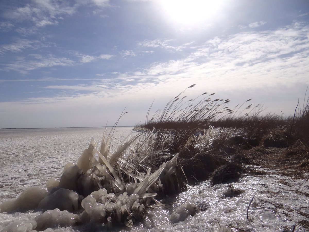 aliemeul's tweet photo. #Lauwersmeer #ijskoud ❄️❄️#koudewind https://t.co/7euUJcpeg7