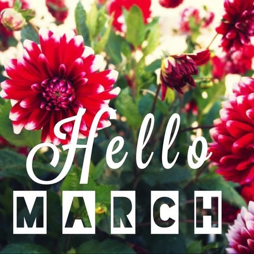 Hello March!  February is blowing in the dust!  Gah, it couldn’t be gone fast enough for us this year! Onward and upward for some sunshine, no flu, hope of Spring, new projects and new connections that are inspiring! #2chickshomeandmarket#goodbyefebruary#inspiredliving