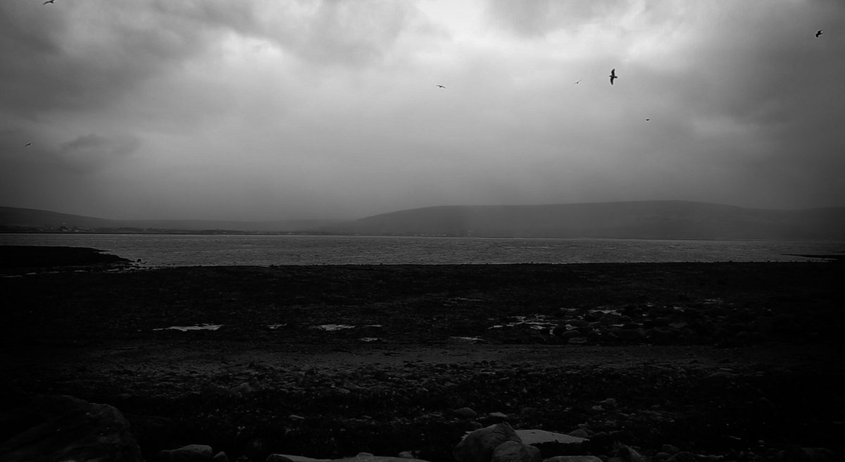 patsampson06's tweet photo. I have two new pieces of moving image work up on my website. 

Take a look* at: https://t.co/QkjRWxMTO0

*Best viewed in a dark room with volume turned up to 11. 

#landscape #video #movingimage #visualarts #stillvideo #blackandwhite #sea #beach #bay  #winter #noise #distortion https://t.co/CJ3L6OqwHV