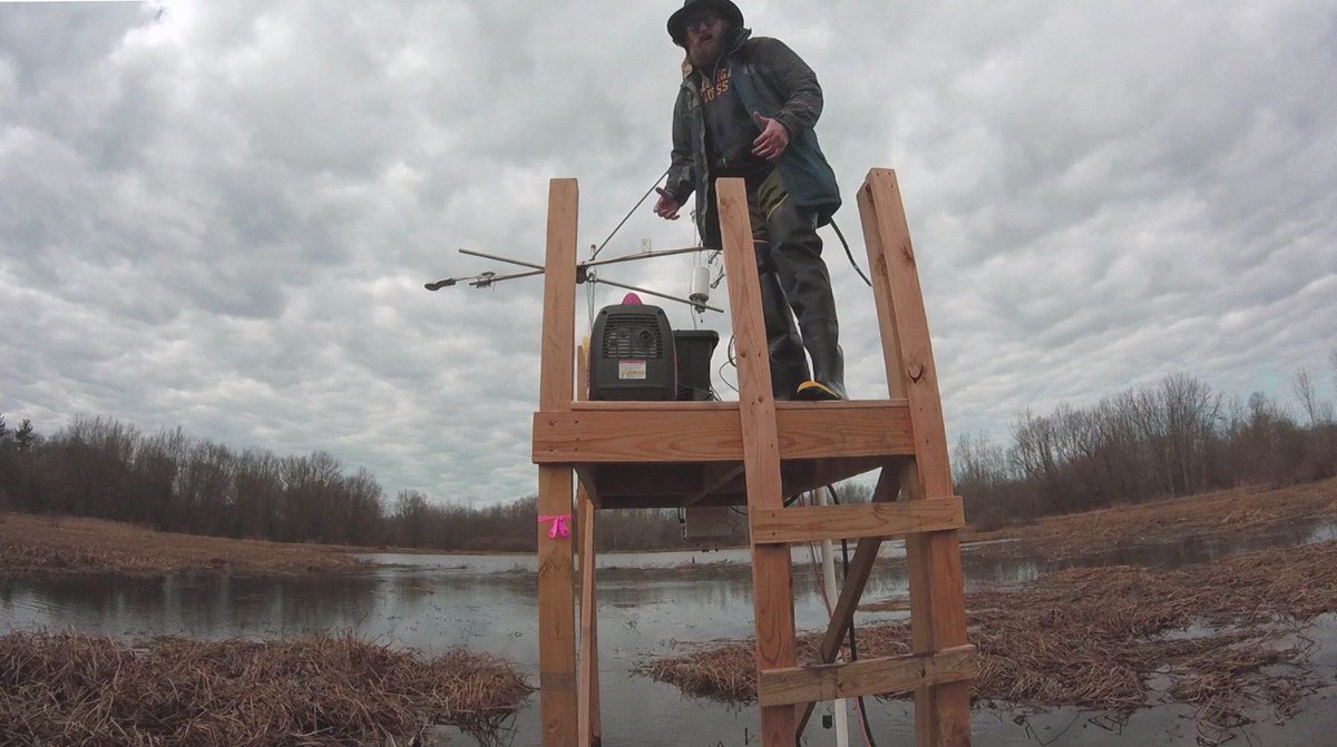 Landscape Ecology and Ecosystem Science Lab tweet media