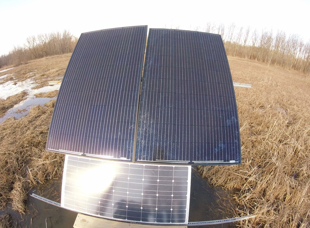 Landscape Ecology and Ecosystem Science Lab tweet media