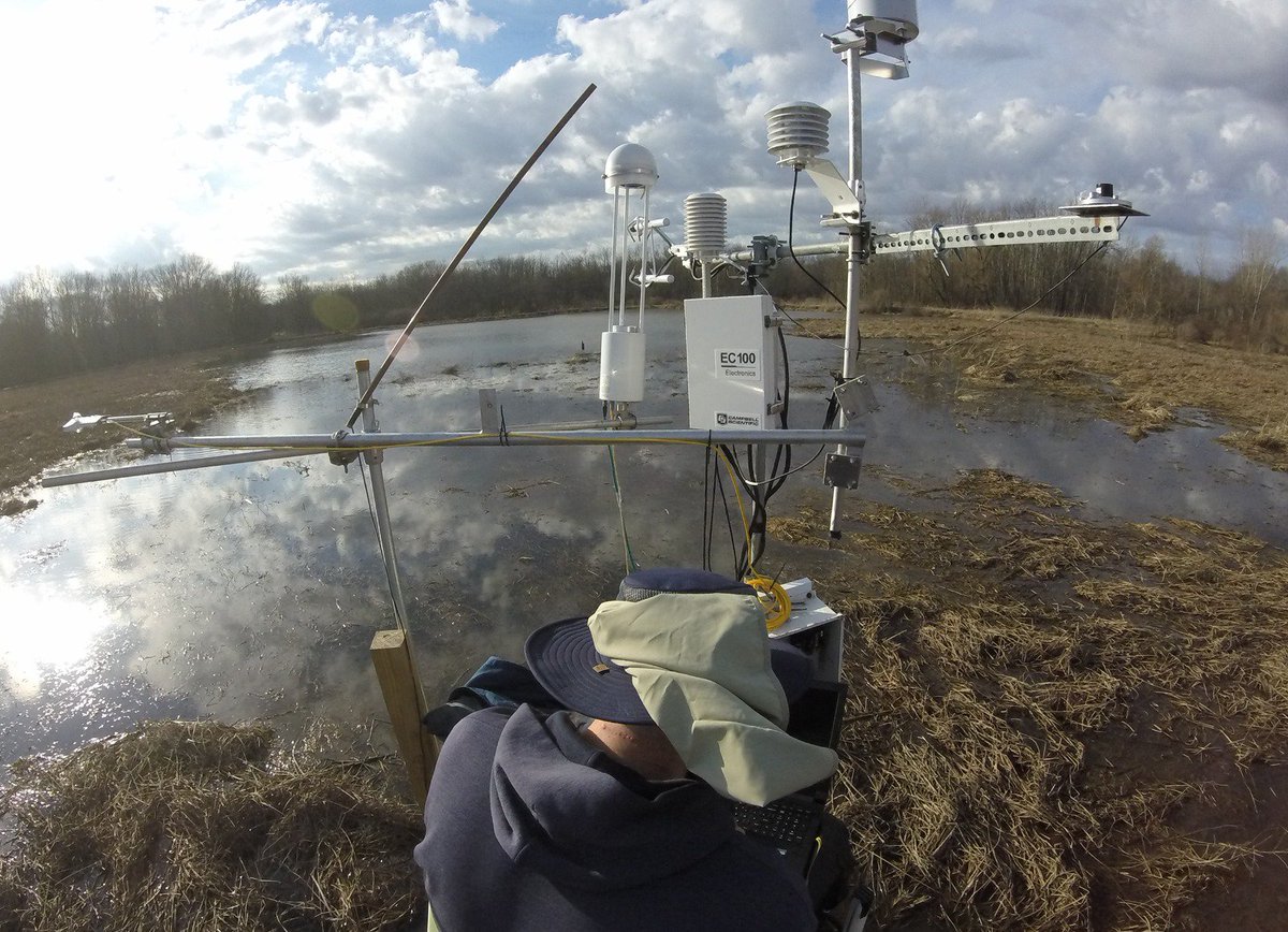 Landscape Ecology and Ecosystem Science Lab tweet media