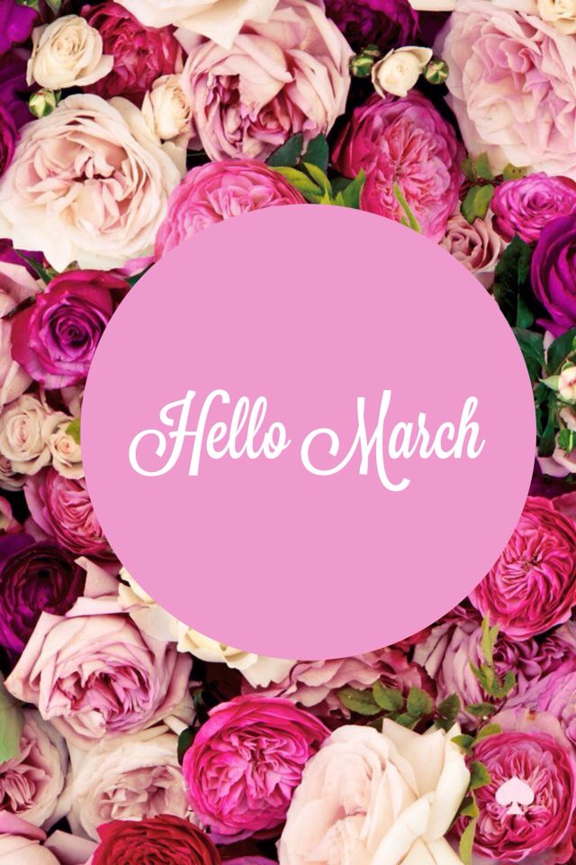 longislandpulse's tweet photo. Happy March (finally!) #marchingintospring #happymarch https://t.co/wG580o7N0a