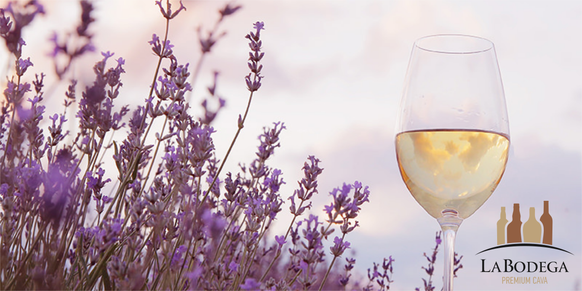 Labodegapaphos's tweet image. Let&apos;s welcome spring, the season of flowers, sunshine and of course White &amp;amp; Rosé wines. 🥂☀️🌷

Have an amazing month everyone! 

#LaBodega #March #Spring #Wine