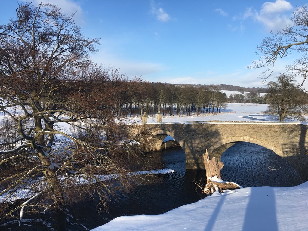 Ed_Durham's tweet image. #beastfromtheeast #wensleydale