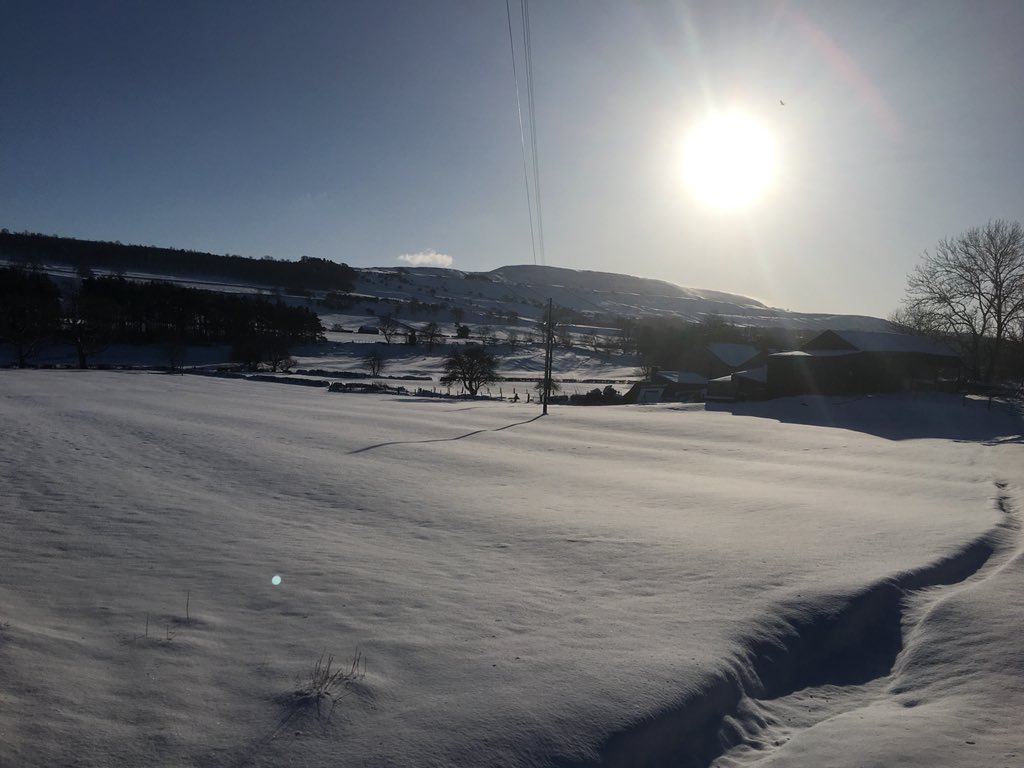 Ed_Durham's tweet image. #beastfromtheeast #wensleydale