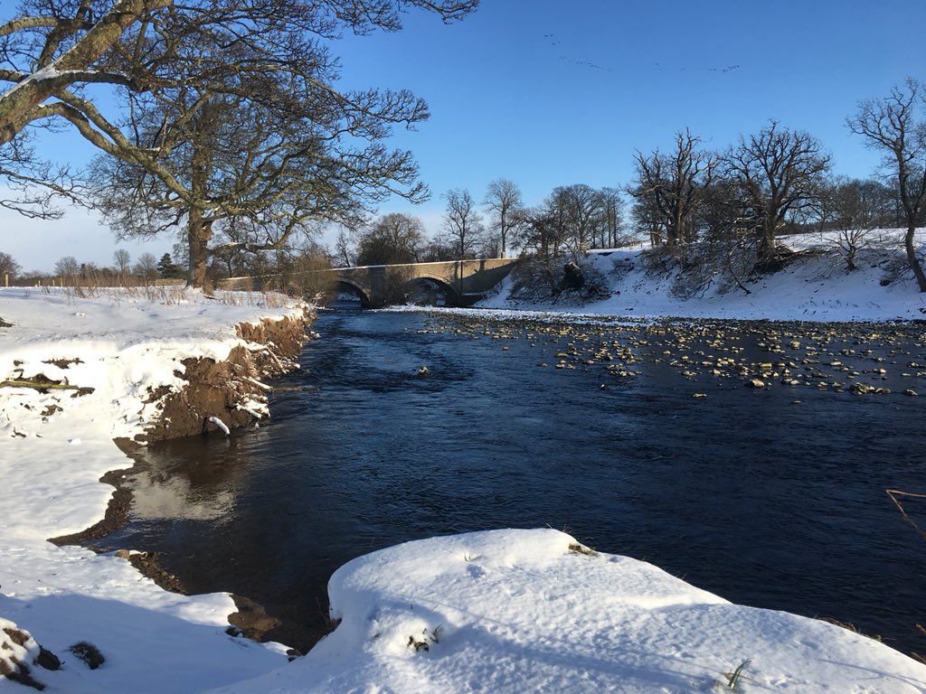 Ed_Durham's tweet image. #beastfromtheeast #wensleydale