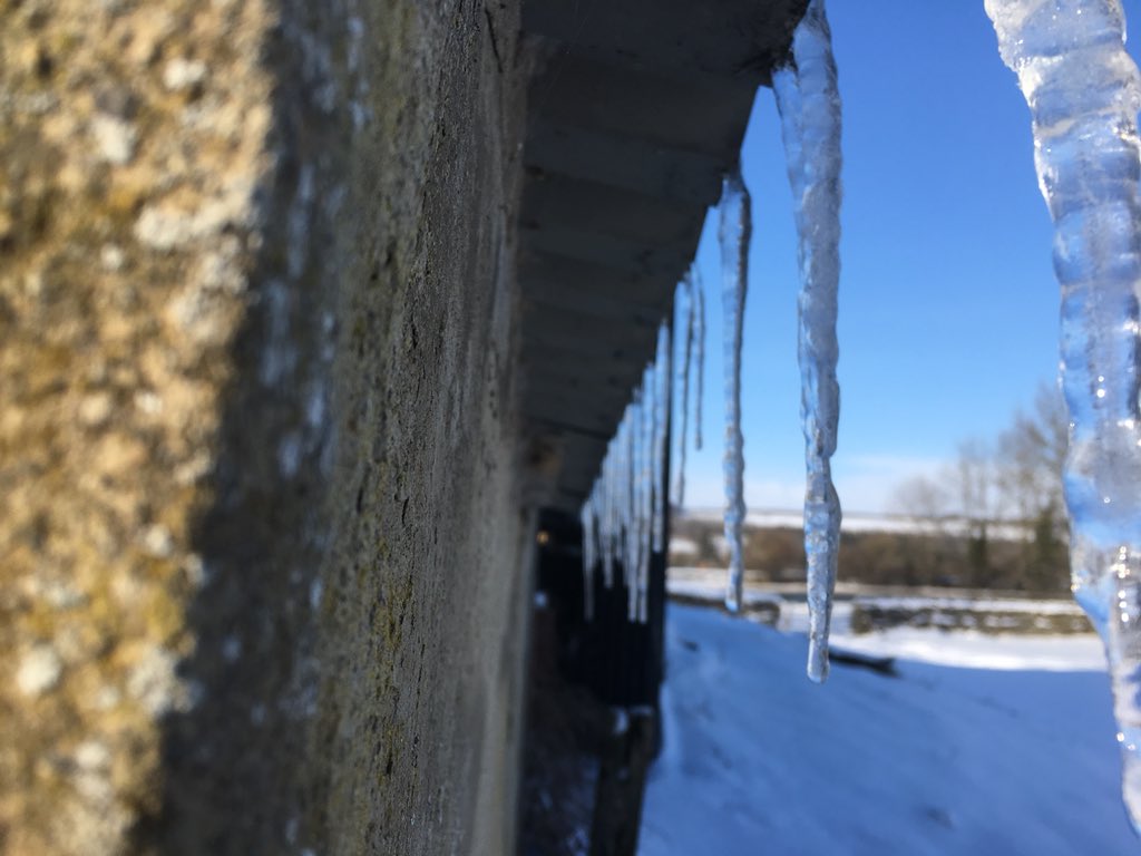 Ed_Durham's tweet image. #beastfromtheeast #wensleydale