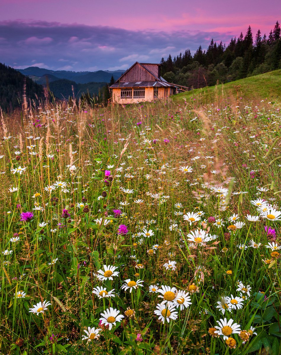 ukrainetrek's tweet image. On the first day of the calendar spring, let's enjoy picturesque and colorful summer landscapes of the Carpathian Mountains #Ukraine #nature #travel Photos by: Anton Petrus.