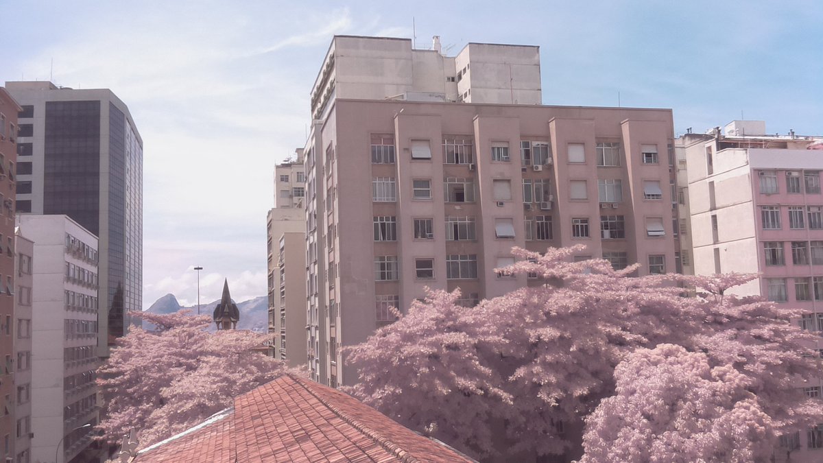 [2018-03-01 11:23] Espelho Sonoro transmitindo ao vivo! Confira em espelhosonoro.com