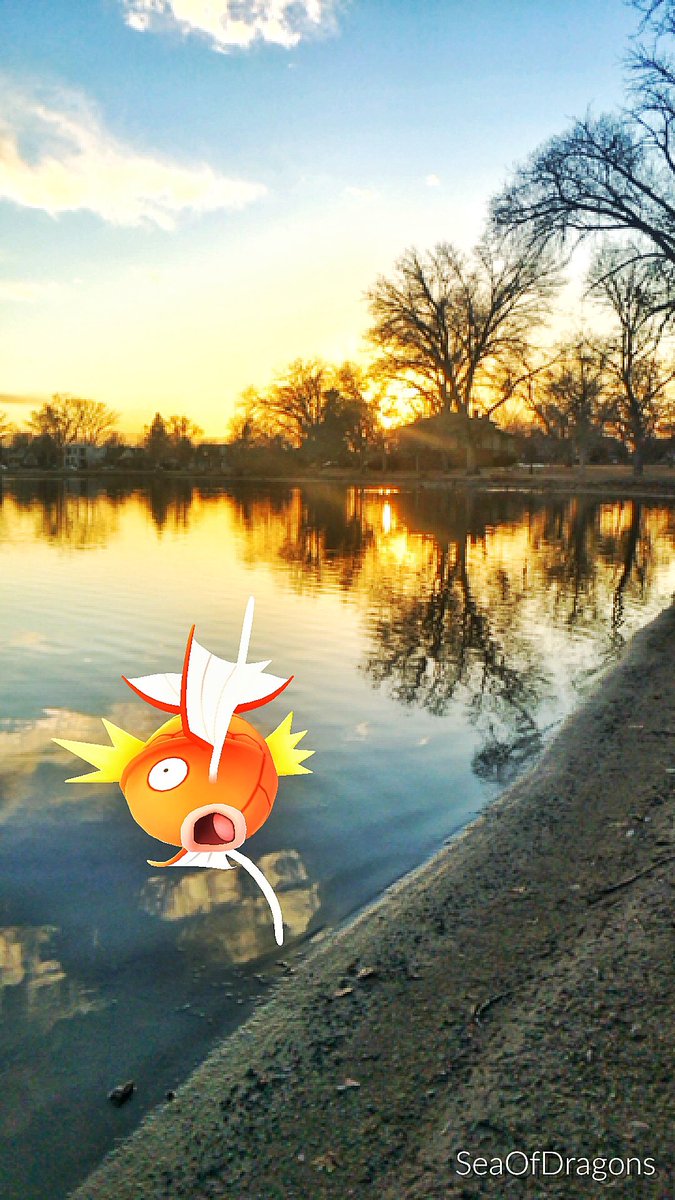 SeaOfDragonsTTV's tweet image. #PokemonGo #ArMode #DenverPoGo @PkmnMasterHolly @trnrtips
