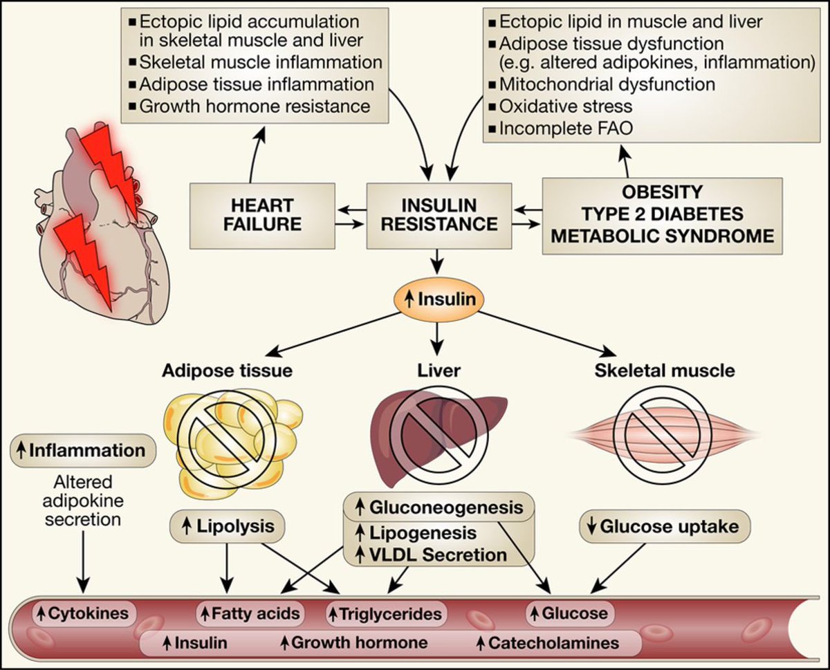 tratamiento de pronóstico de diabetes tratamiento de pronóstico de diabetes