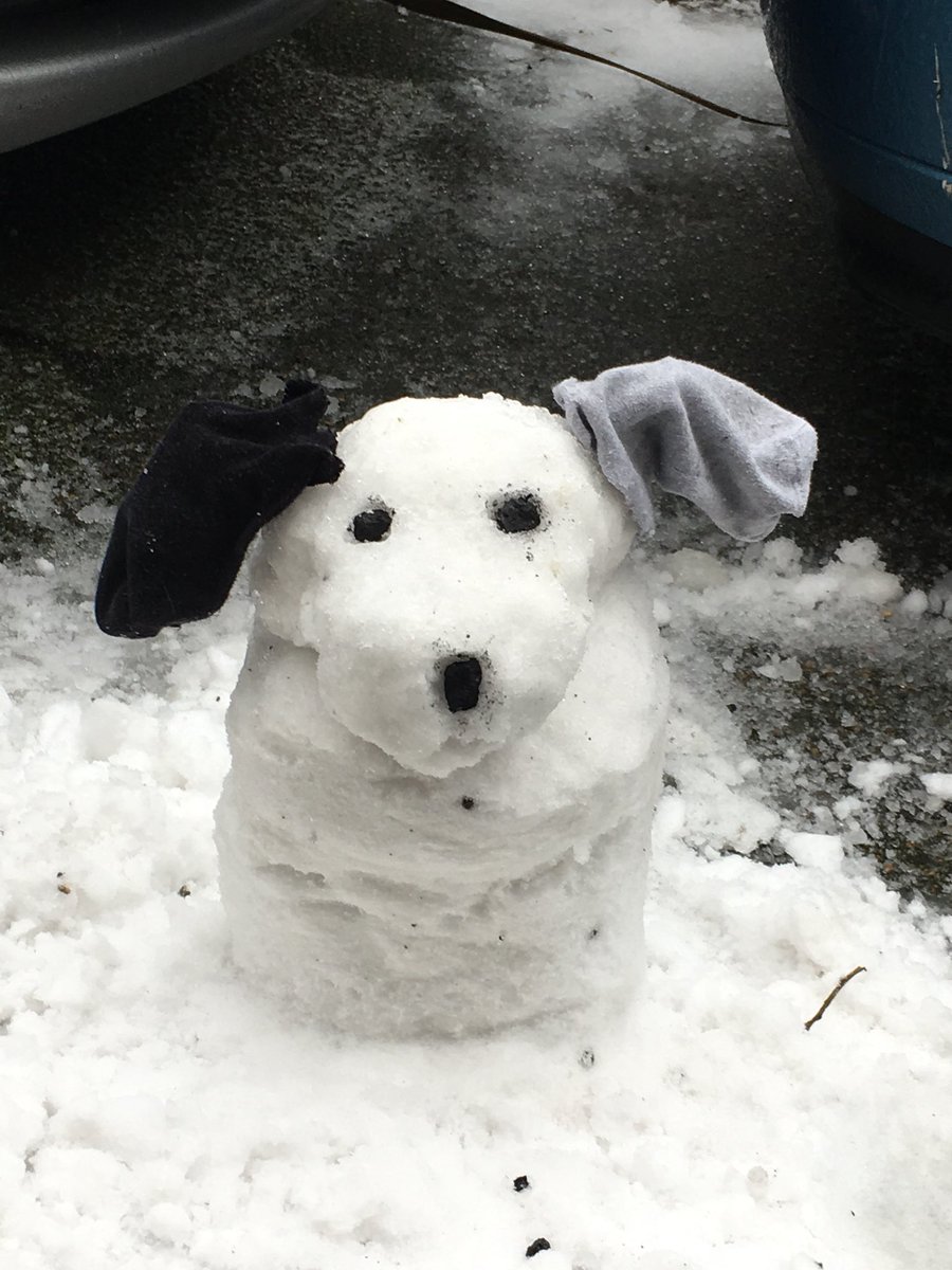 GwynGB's tweet photo. Obligatory #snow #cisnow photo - a day well spent off school for my youngest https://t.co/crJQw908xL