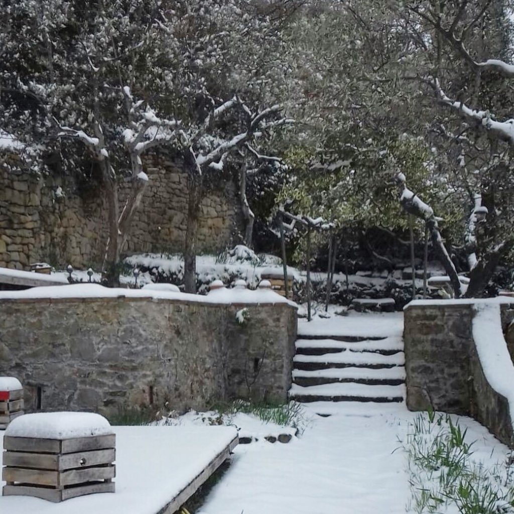 FGMichelucci's tweet photo. 1 Marzo 2018
Nell’attesa che fioriscano iris, narcisi e rose, oggi non potevamo non condividere qualche cartolina innevata di Villa “Il Roseto” e il suo giardino!
#fondazionemichelucci #fiesole #villailroseto https://t.co/o8I02IAvtb