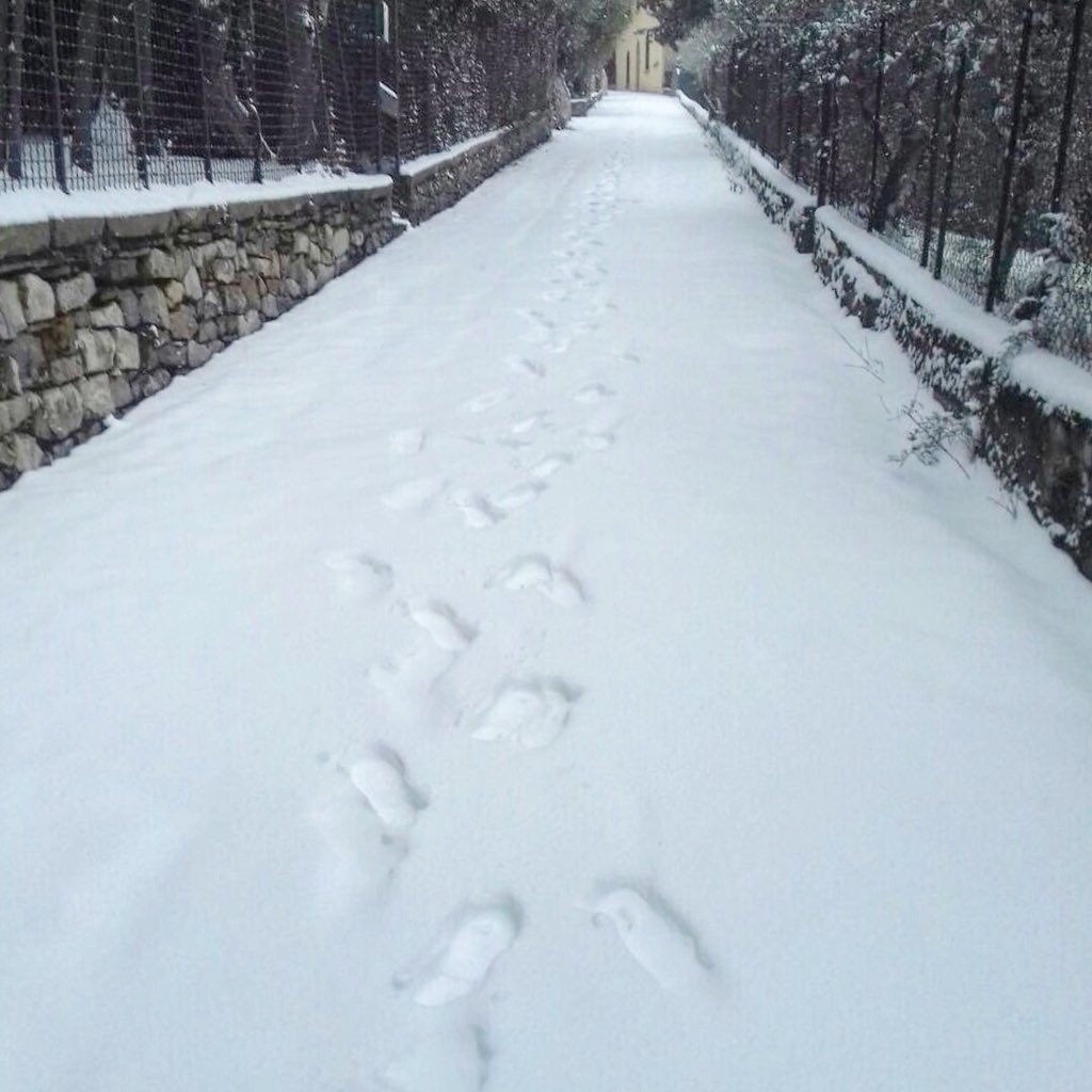 1 Marzo 2018
Nell’attesa che fioriscano iris, narcisi e rose, oggi non potevamo non condividere qualche cartolina innevata di Villa “Il Roseto” e il suo giardino!
#fondazionemichelucci #fiesole #villailroseto