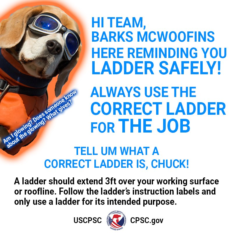 CPSC spokesdog, Barks McWoofins, with an orange glow around them. The text reads, "Hi Team, Barks McWoofins, here reminding you to ladder safely! Always use the correct ladder for the job. Tell um what a correct ladder is, Chuck!" Chuck replies, "A ladder should extend 3ft over your working surface or roofline. Follow the ladder's instruction labels and only use a ladder for its intended purpose."