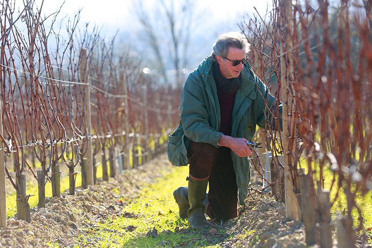 TheWineSociety's tweet photo. Edouard Moueix can't host our Château Bélair-Monange tasting next Friday 9th March due to a skiing accident - he's sent a substitute, though ... his dad, Christian Moueix! 
#strengthonthebench #moueix #legend 
There are still some tickets available - https://t.co/h2EP8xLXKG https://t.co/OpVnECmF2c