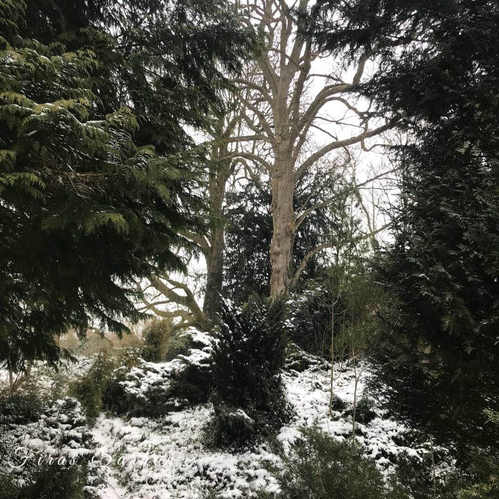 firas_sarhan1's tweet photo. Images of frozen Buckinghamshire @BBCBreakfast #bbcbreakfrost @officialmix96 @FamiliesBucks @buckscc #buckinghamshire @BuckinghamCover https://t.co/65Zpdo2D8h