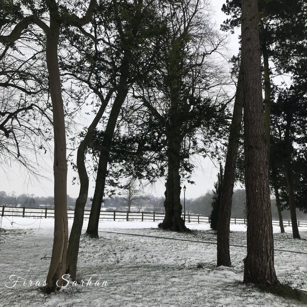 firas_sarhan1's tweet photo. Images of frozen Buckinghamshire @BBCBreakfast #bbcbreakfrost @officialmix96 @FamiliesBucks @buckscc #buckinghamshire @BuckinghamCover https://t.co/65Zpdo2D8h