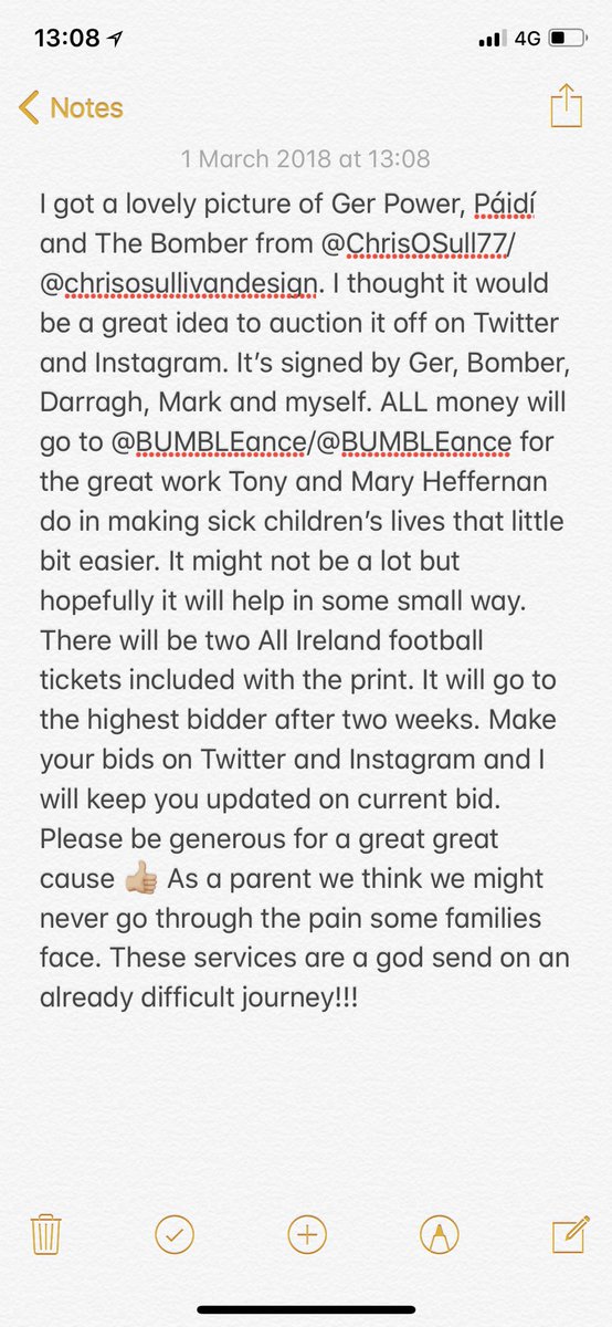 tomas5ky's tweet photo. Brilliant signed print and 2 All Ireland football tickets being auctioned off here. ALL money raised will go to @BUMBLEance. Thanks to @ChrisOSull77 for print and lads for getting involved. Will go to highest bidder after two weeks 🏐💪🏼🙏🏼 https://t.co/26fnqQWn2t