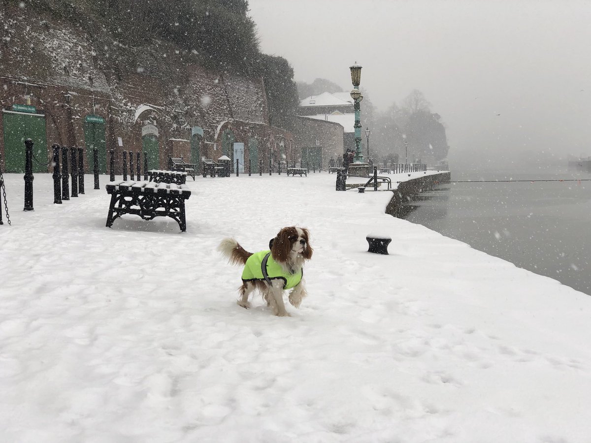 Boots & Bones (BootsandBonesUK) Twitter