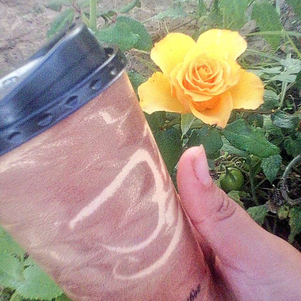 NicoCastillo_14's tweet photo. Buenos días...
vamos aprendiendo a disfrutar de las pequeñas cosas de la vida.
#SoyNico #MyCoffee https://t.co/nkpliEGAgo