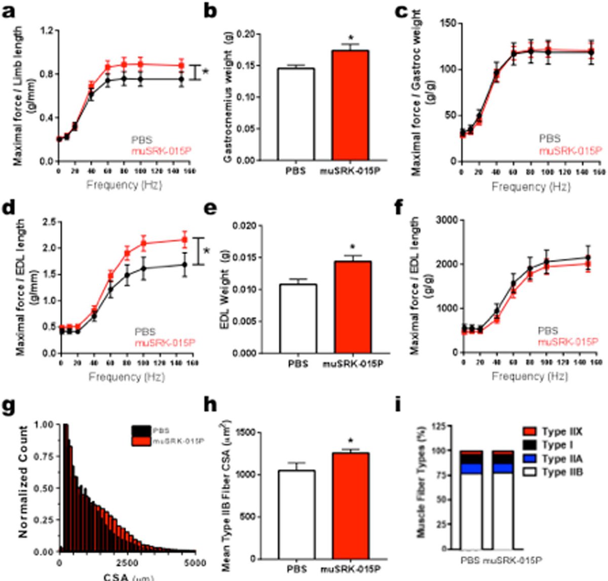 AuroraSci's tweet photo. Blocking extracellular activation of #myostatin as a strategy for treating #musclewasting. in-vivo and in-vitro #muscle performance measured with #1300A #3in1 whole animal system #305C #dualmode @ScholarRock @Chris_W_Ward #Myologica https://t.co/SNX3Kw211i