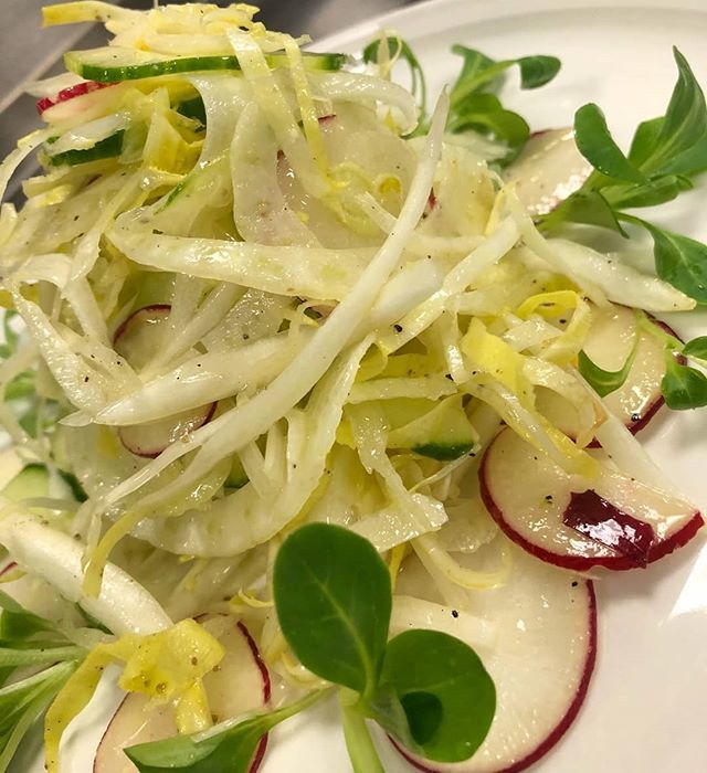 IlPalioShelton's tweet photo. Fennel and endive salad with radishes and mache lettuce in a lemon Mustard dressing. #sharethelove #salad #makingmehungry #ctfoodlovers #ciboitaliano #cteats #ctrw #yum #endive #fennel https://t.co/oJP6f6Pq6h https://t.co/ZfNRXXBYBi