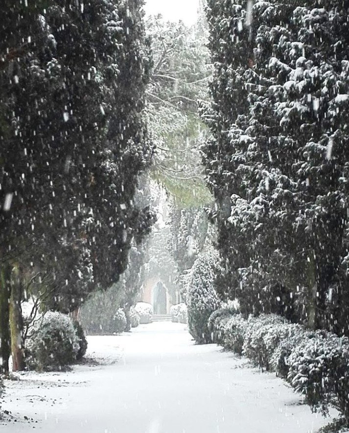 TurismoVeneto's tweet photo. A #ValeggiosulMincio la meridiana del #ParcoSigurtà ha fermato il suo tempo. Ora soffice cade la neve sulla vegetazione che riposa. Un labirinto di sensazioni accompagna il visitatore lungo bianchi viali alberati https://t.co/mr7zi2MrA5 #Visitveneto (foto Instagram parcosigurta) https://t.co/U75FNm4bow