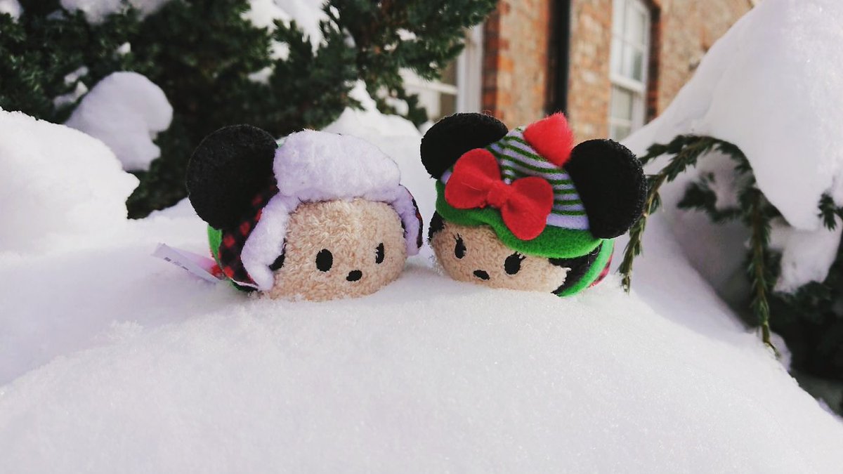 MrsMinnieDisney's tweet photo. @DisneyStoreGBR Snow day here in Scotland. Winter tsum tsum are enjoy the snow #disney #snowday #snow #tsumtsum  #mickeymouse #minniemouse #disneystoreuk https://t.co/nGzAno9xu9