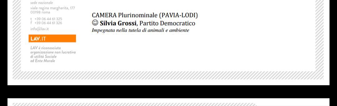 silvigross's tweet photo. Sono orgogliosa di essere stata inserita tra i "candidati positivi" (così li chiamano) proposti da LAV Lega Antivivisezione. 
#4marzo #XsulPD #CameraDeputati #PaviaLodi https://t.co/Jgest3Inkm